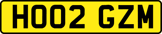 HO02GZM