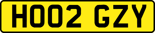 HO02GZY