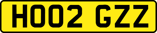 HO02GZZ