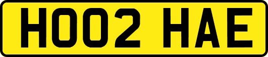 HO02HAE
