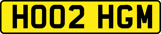HO02HGM