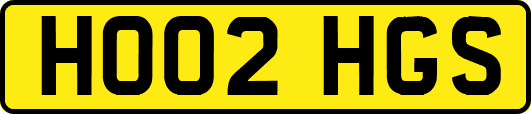 HO02HGS