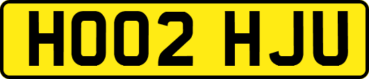 HO02HJU