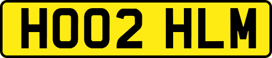 HO02HLM