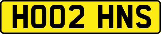 HO02HNS