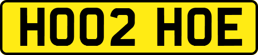 HO02HOE