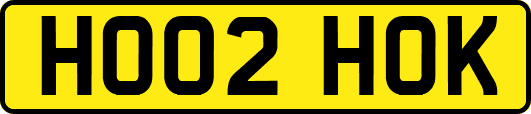 HO02HOK