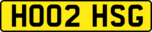 HO02HSG