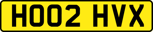 HO02HVX