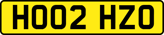 HO02HZO