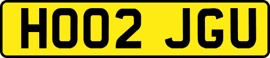 HO02JGU