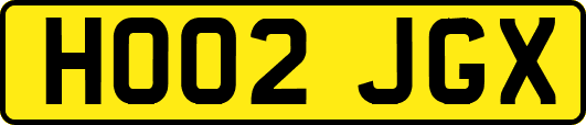 HO02JGX