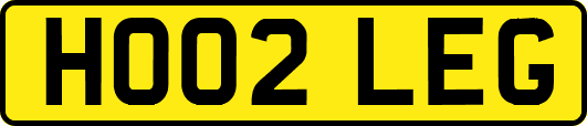HO02LEG