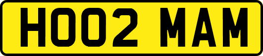 HO02MAM