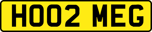 HO02MEG