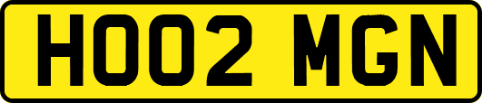 HO02MGN