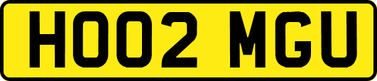 HO02MGU