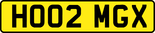 HO02MGX