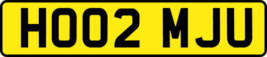 HO02MJU