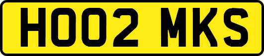HO02MKS