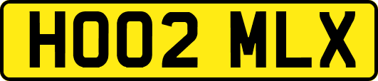 HO02MLX