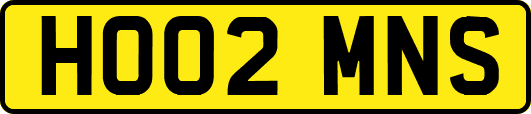 HO02MNS