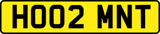 HO02MNT