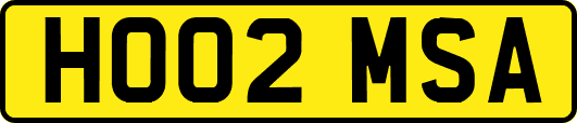 HO02MSA