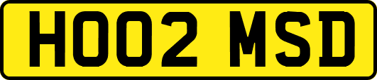 HO02MSD