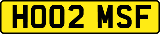 HO02MSF