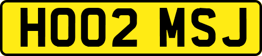 HO02MSJ