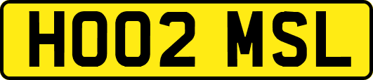 HO02MSL