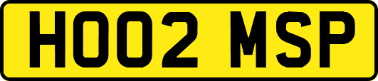 HO02MSP