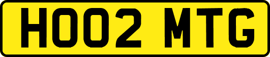 HO02MTG