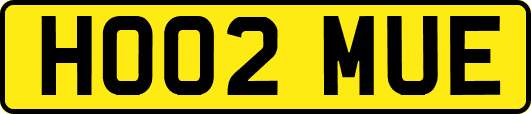 HO02MUE