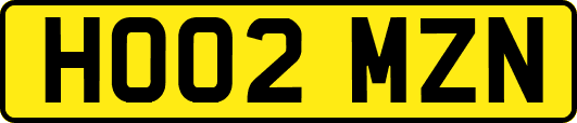 HO02MZN