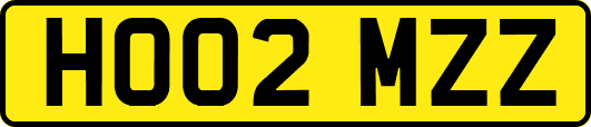 HO02MZZ