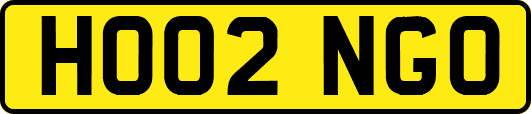 HO02NGO