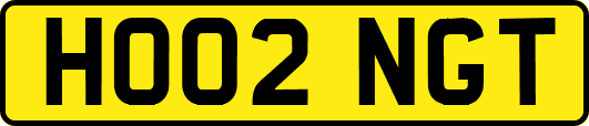 HO02NGT