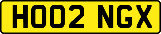HO02NGX