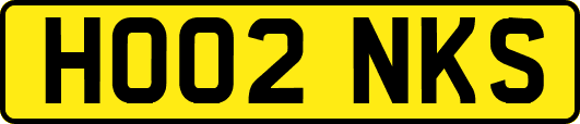 HO02NKS