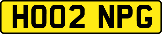 HO02NPG
