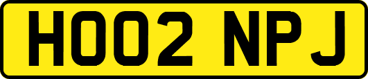HO02NPJ