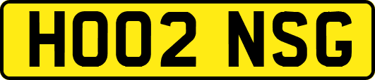 HO02NSG