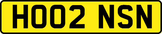 HO02NSN