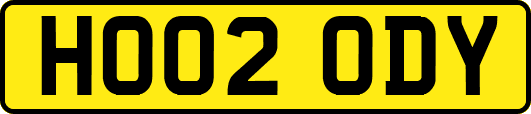HO02ODY
