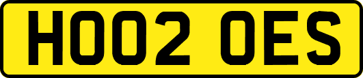 HO02OES