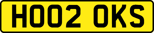 HO02OKS