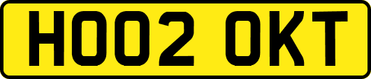 HO02OKT