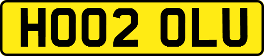 HO02OLU